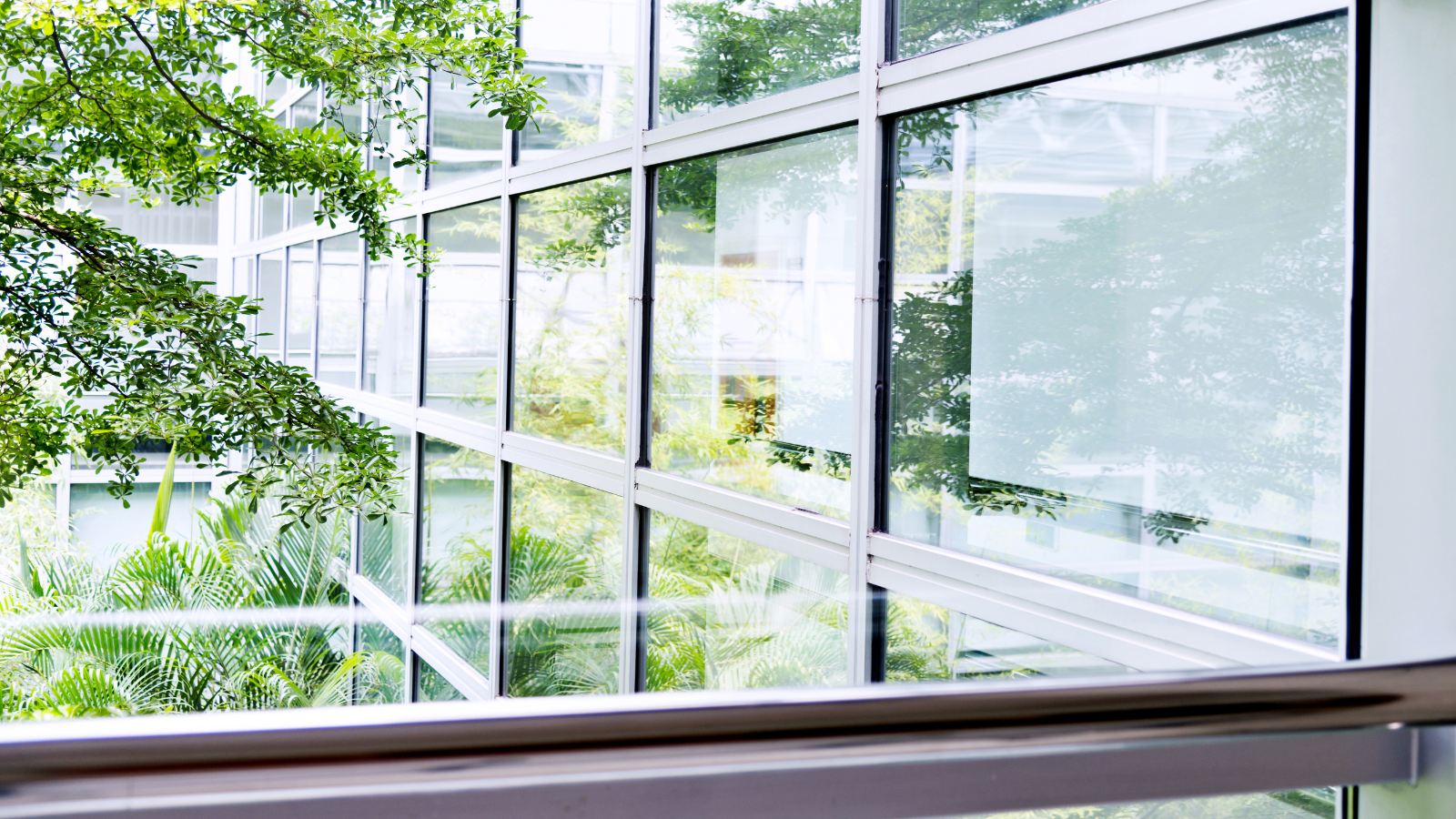 picture office windows facing trees